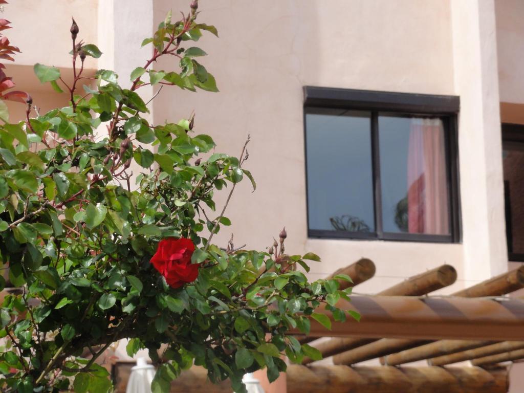 Hôtel L'Hacienda Martigues Exterior foto