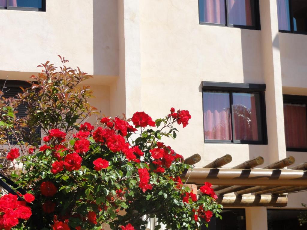 Hôtel L'Hacienda Martigues Exterior foto